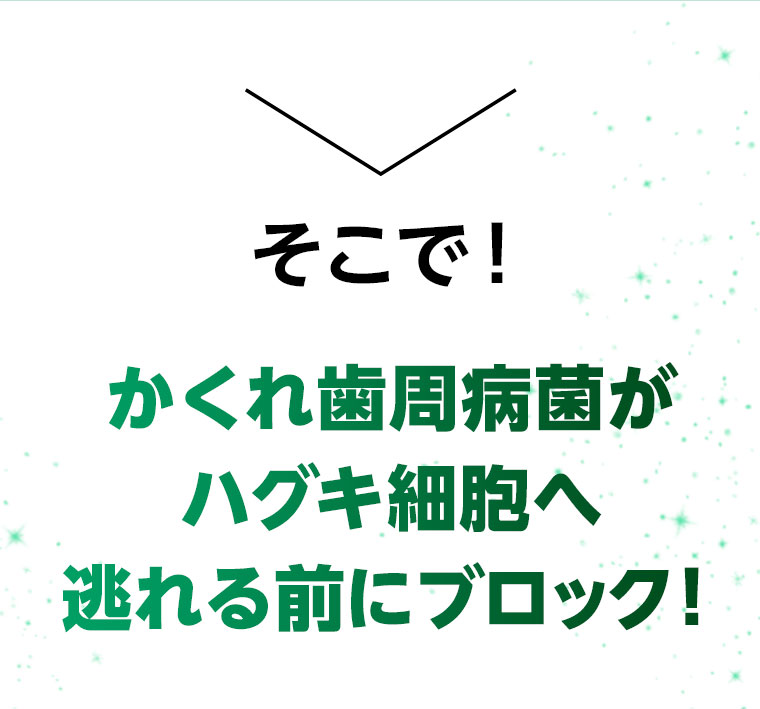 そこで！かくれ歯周病菌がハグキ細胞へ逃れる前にブロック！