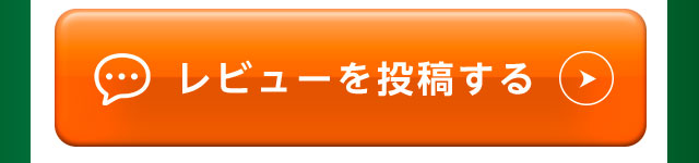 レビューを投稿する
