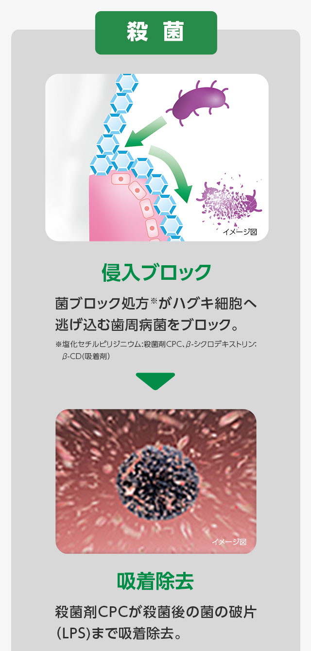【侵入ブロック】菌ブロック処方がハグキ細胞へ逃げ込む歯周病菌をブロック。【吸着除去】殺菌剤CPCが殺菌後の菌の破片（LPS)まで吸着除去。