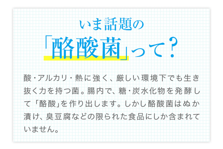 いま話題の「酪酸菌」って？