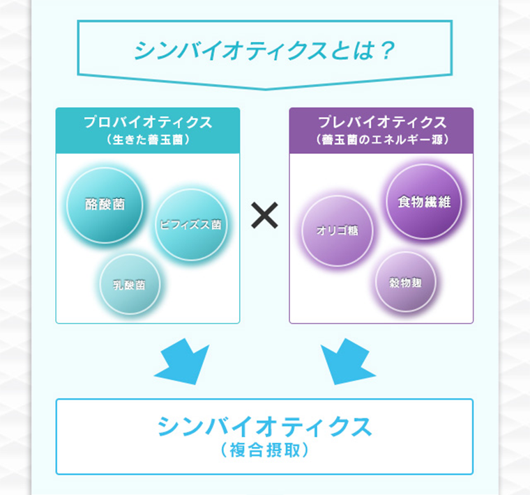 シンバイオティクスとは？