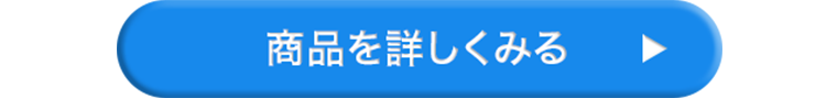商品を詳しく見る