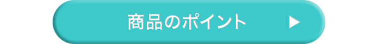 商品のポイント