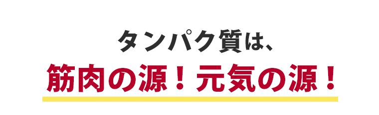 タンパク質は、筋肉の源！元気の源！