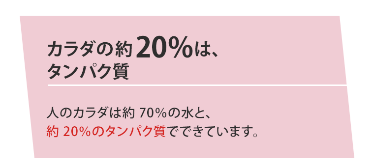 カラダの約20％は、タンパク質