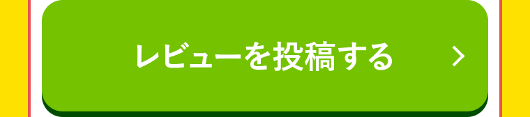 レビューを投稿する
