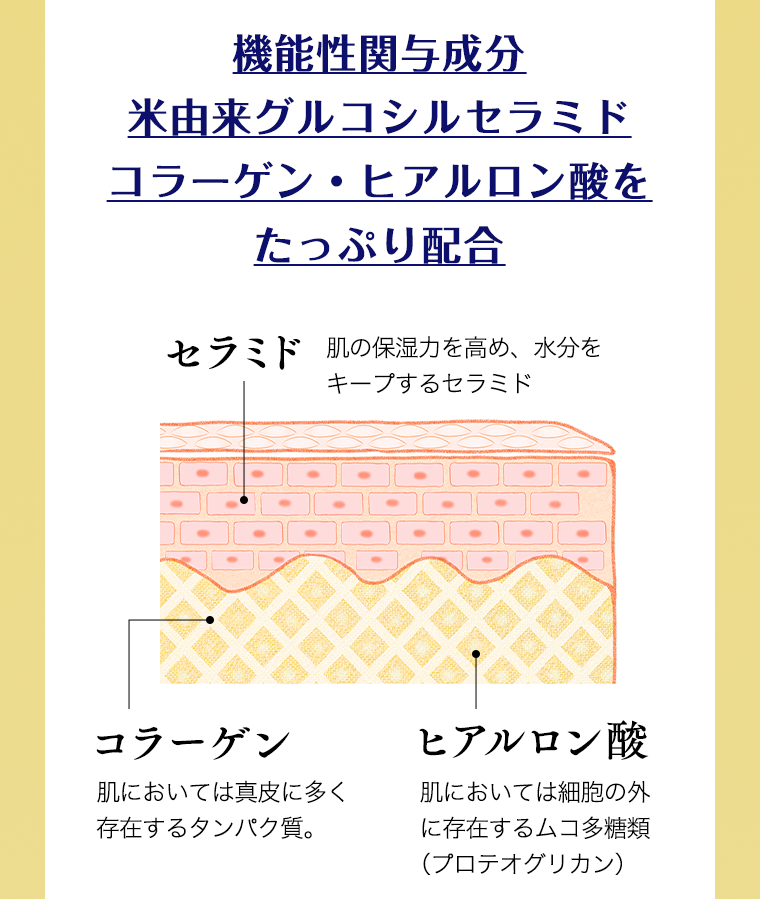 機能性関与成分米由来グルコシルセラミドコラーゲン・ヒアルロン酸をたっぷり配合