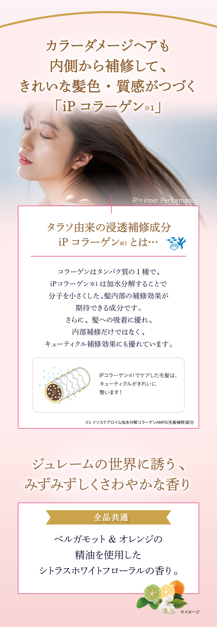カラーダメージも内側から補修して、きれいな髪色・質感がつづく「iPコラーゲン※1」