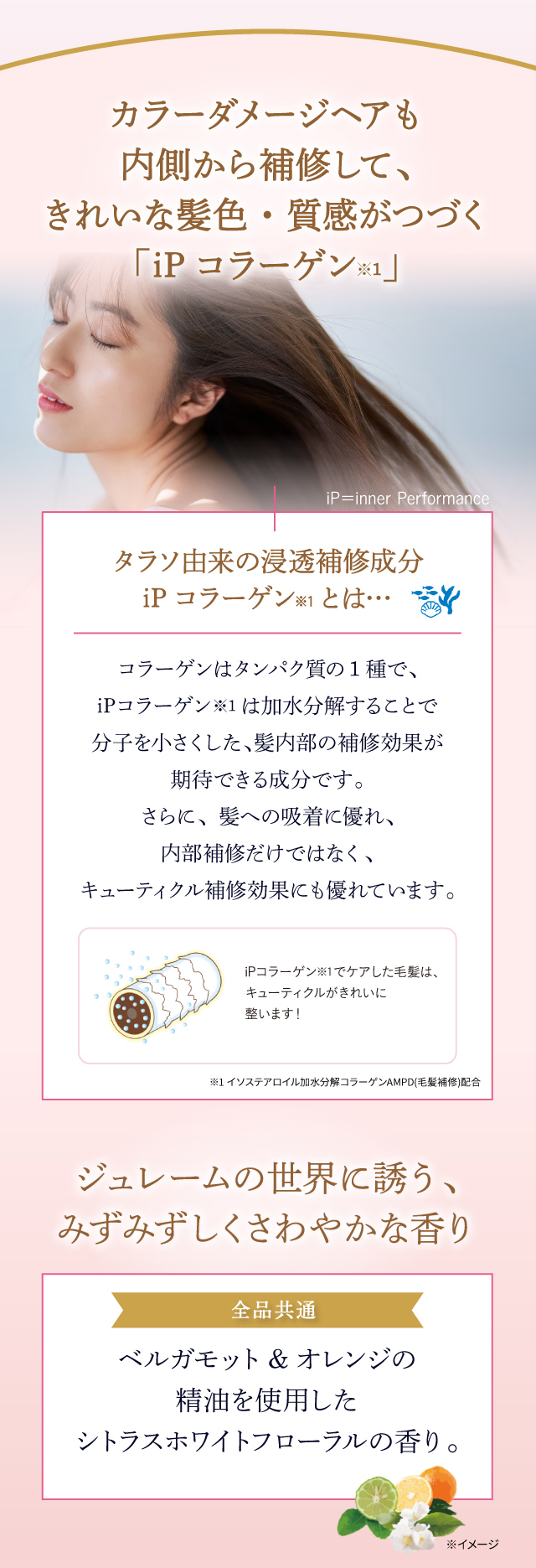 カラーダメージヘアも内側から補修して、きれいな髪色・質感がつづく「iPコラーゲン※1」