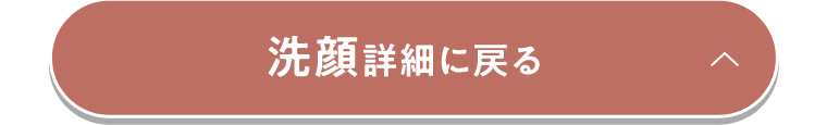 洗顔詳細に戻る