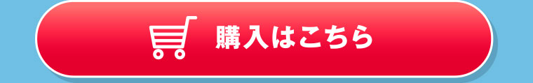 購入はこちら
