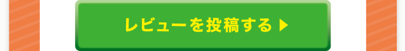 レビューを投稿する