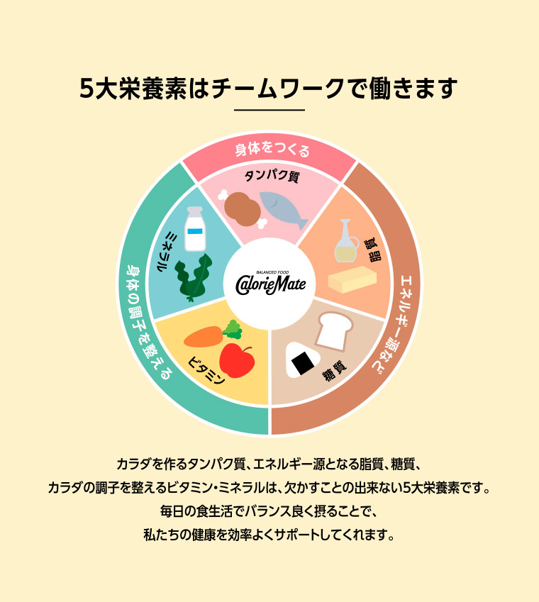 5大栄養素はチームワークで働きます カラダを作るタンパク質、エネルギー源となる脂質、糖質、カラダの調子を整えるビタミン・ミネラルは、欠かすことの出来ない5大栄養素です。毎日の食生活でバランス良く摂ることで、私たちの健康を効率よくサポートしてくれます。