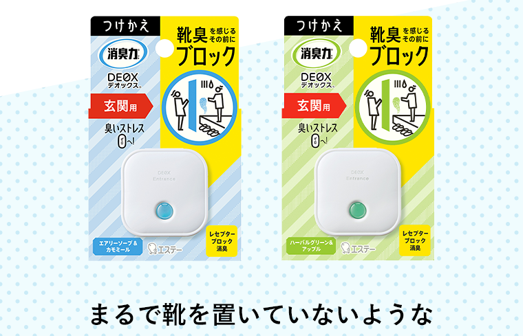 まるで靴を置いていないような