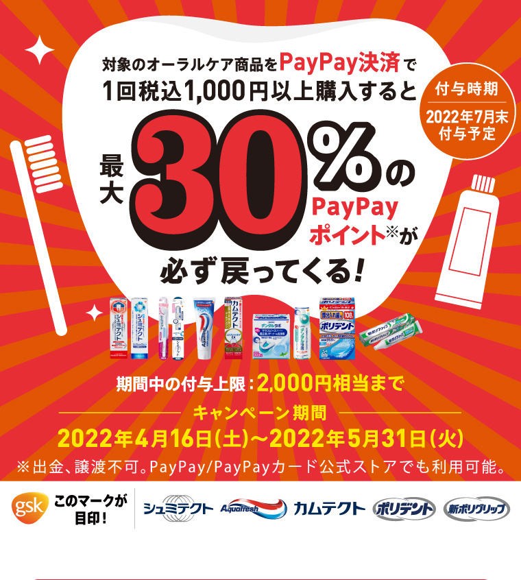 イメージ：paypay_lp_top