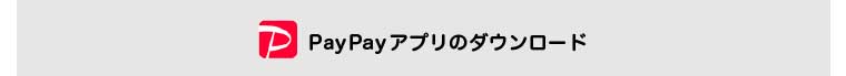 イメージ：paypay title
