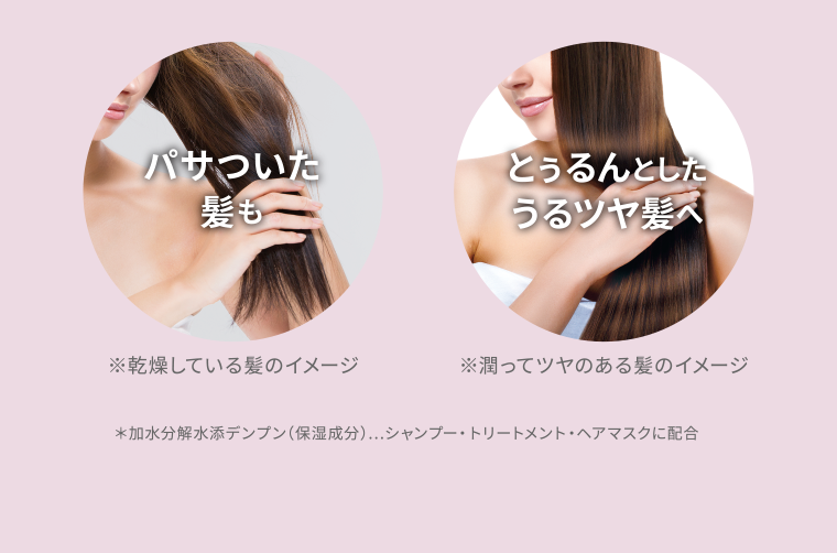 ※乾燥している髪のイメージ ※潤ってツヤのある髪のイメージ
