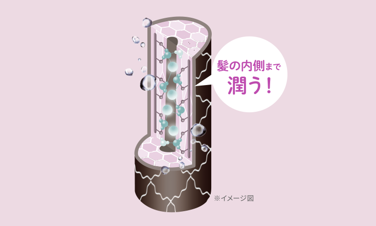 髪の内側まで潤う！