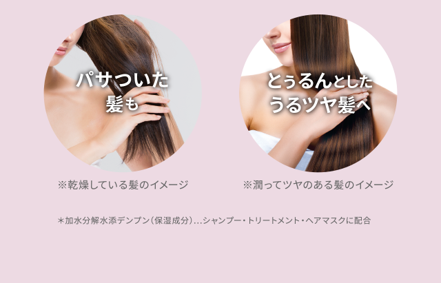 ※乾燥している髪のイメージ ※潤ってツヤのある髪のイメージ
