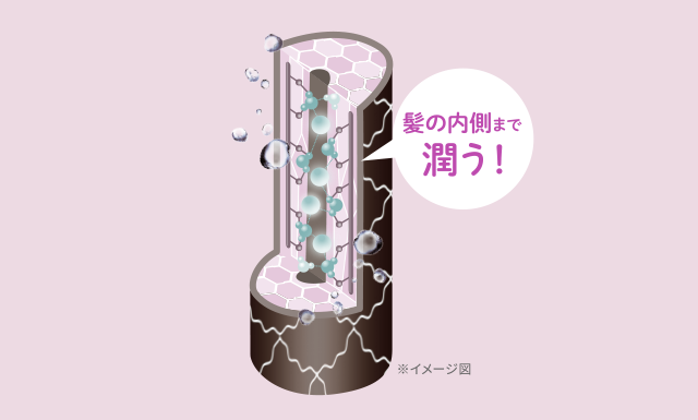 髪の内側まで潤う！
