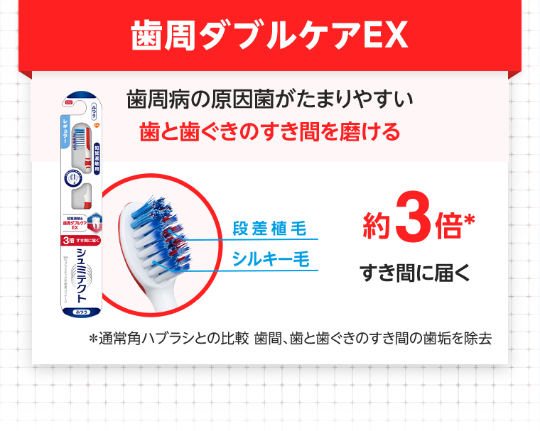 歯周ダブルケアEX 歯周病の原因菌がたまりやすい歯と歯ぐきのすき間を磨ける