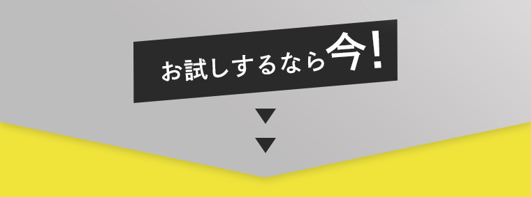 お試しするなら今！