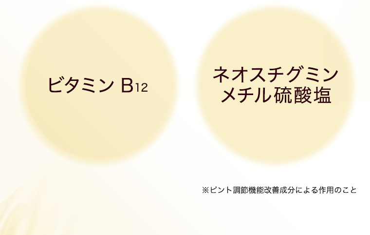 ビタミンB12 ネオスチグミンメチル硫酸塩
