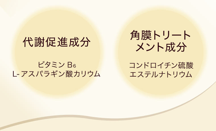 代謝促進成分 ビタミンB6 L-アスパラギン酸カリウム 角膜トリートメント成分 コンドロイチン硫酸エステルナトリウム