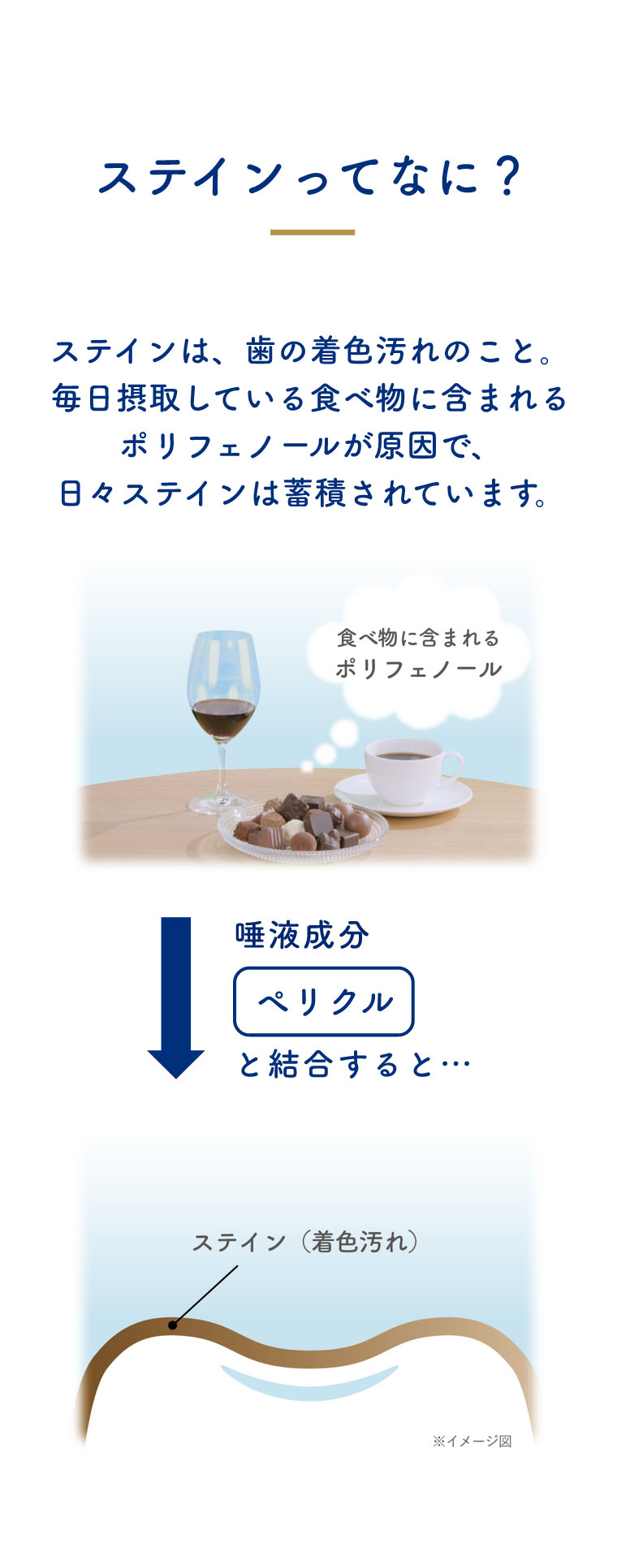 ステインってなに？