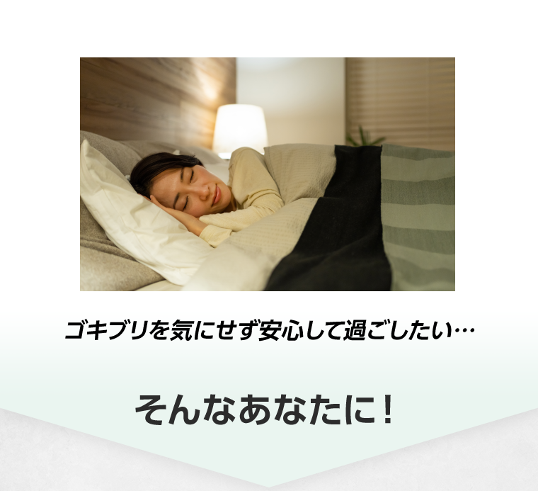 ゴキブリを気にせず安心して過ごしたい・・・そんなあなたに！