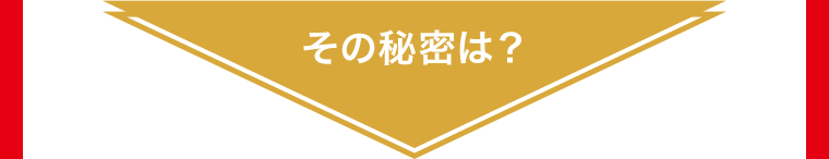 その秘密は？