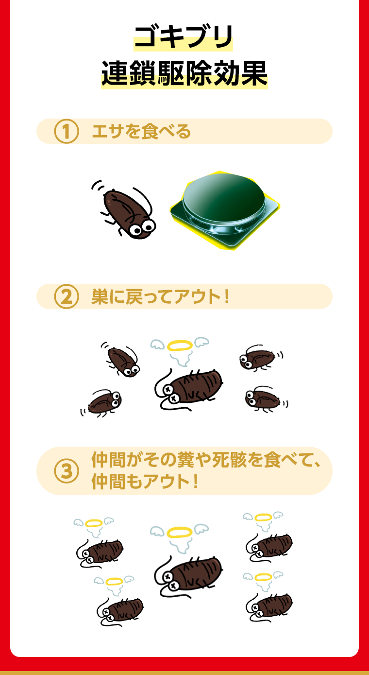 ゴキブリ連鎖駆除効果