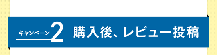 キャンペーン2　購入後、レビュー投稿