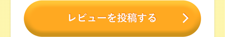レビューを投稿する