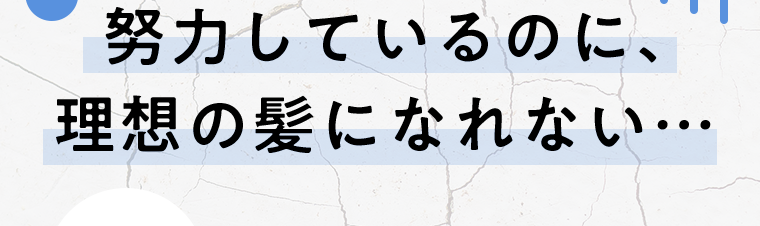 努力しているのに、理想の髪になれない・・・