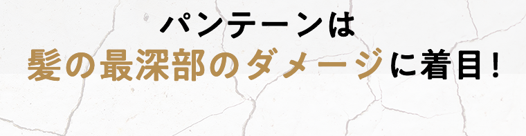 パンテーンは髪の最深部のダメージに着目！
