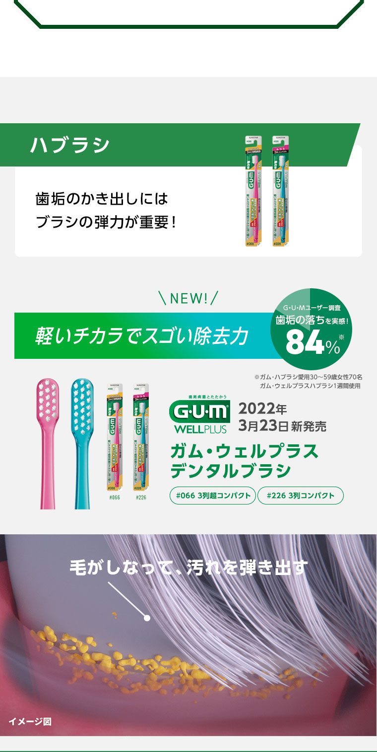 ハブラシ