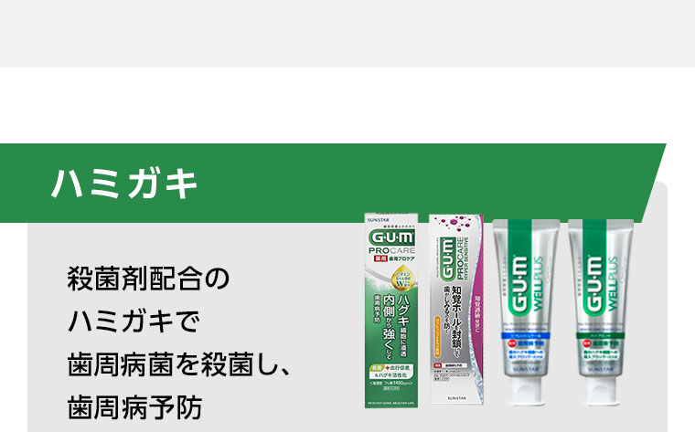 ハミガキ