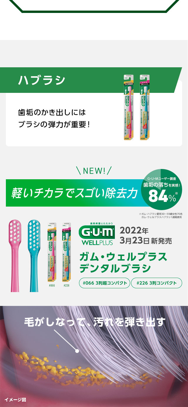 ハブラシ