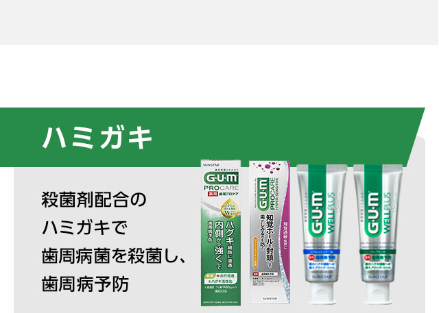 ハミガキ