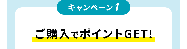 キャンペーン１　ご購入でポイントGET！