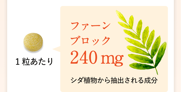 1粒あたり　ファーンブロック240mg　シダ植物から抽出される成分