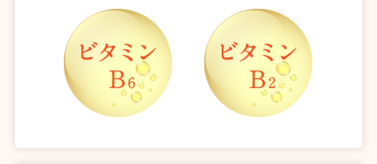 ビタミンB6　ビタミンB2