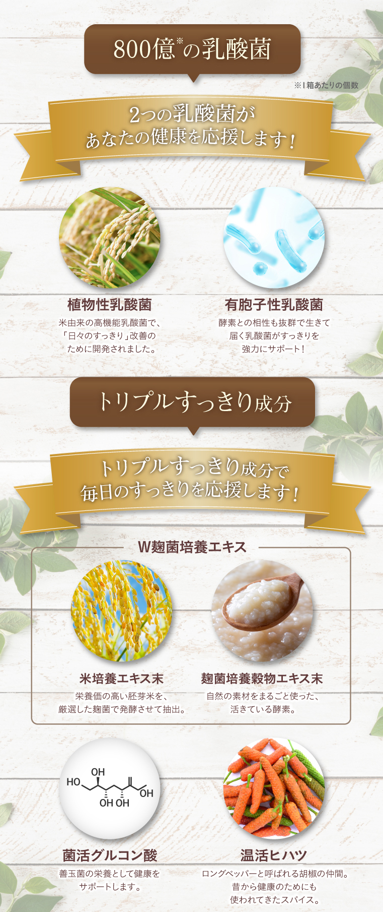 800億※の乳酸菌