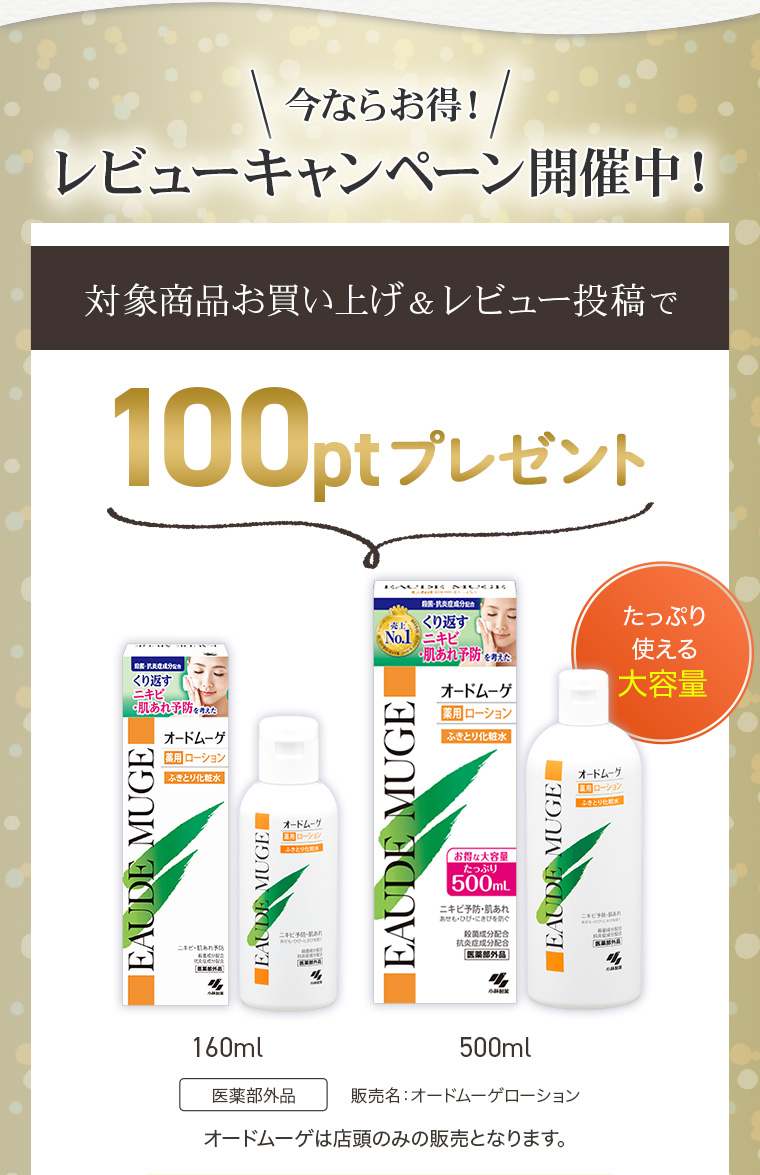 今ならお得！レビューキャンペーン開催中！対象商品お買い上げ＆レビュー投稿で100ptプレゼント