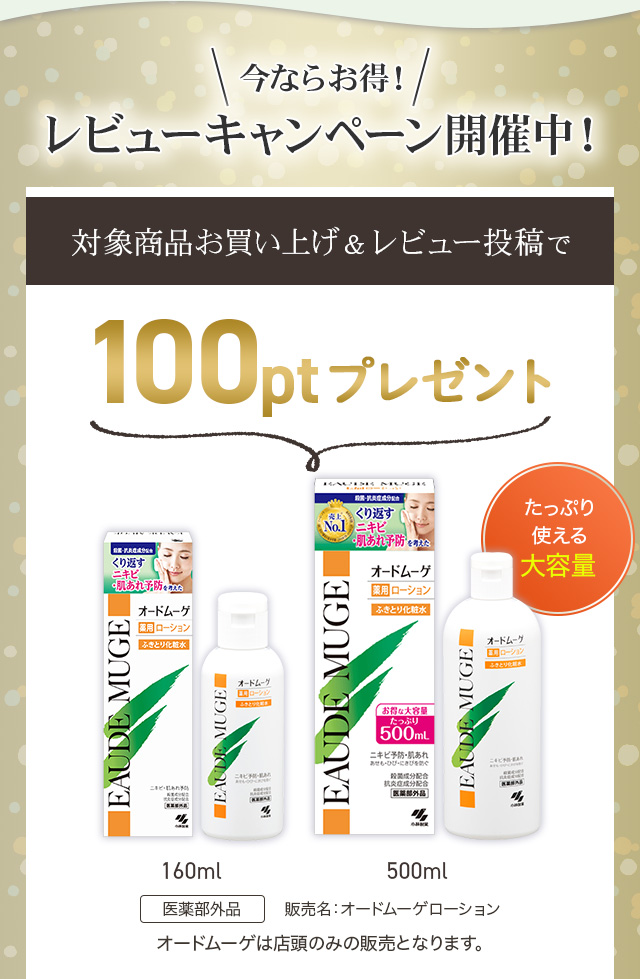 今ならお得！レビューキャンペーン開催中！対象商品お買い上げ＆レビュー投稿で100ptプレゼント！