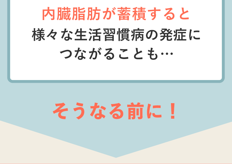 内臓脂肪が蓄積すると様々なせいかつ習慣病の発症につながることも…