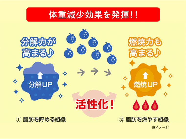 体重減少効果を発揮！！