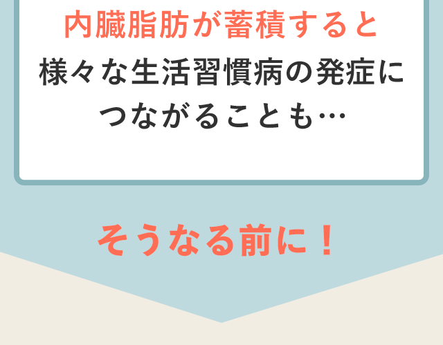 内臓脂肪が蓄積すると様々なせいかつ習慣病の発症につながることも…