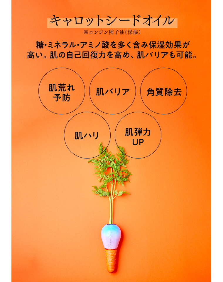 キャロットシードオイル 糖・ミネラル・アミノ酸を多く含み保湿効果が高い。肌の自己回復力を高め、肌バリアも可能。肌荒れ予防 肌バリア 角質除去 肌ハリ 肌弾力UP
